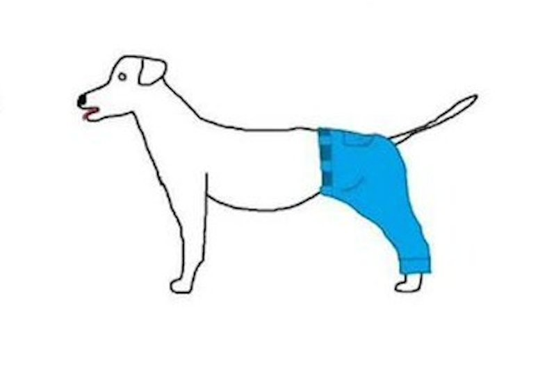 Illustration for article titled Oh My God There Is Only One Way a Dog Would Wear Pants Stop Debating This